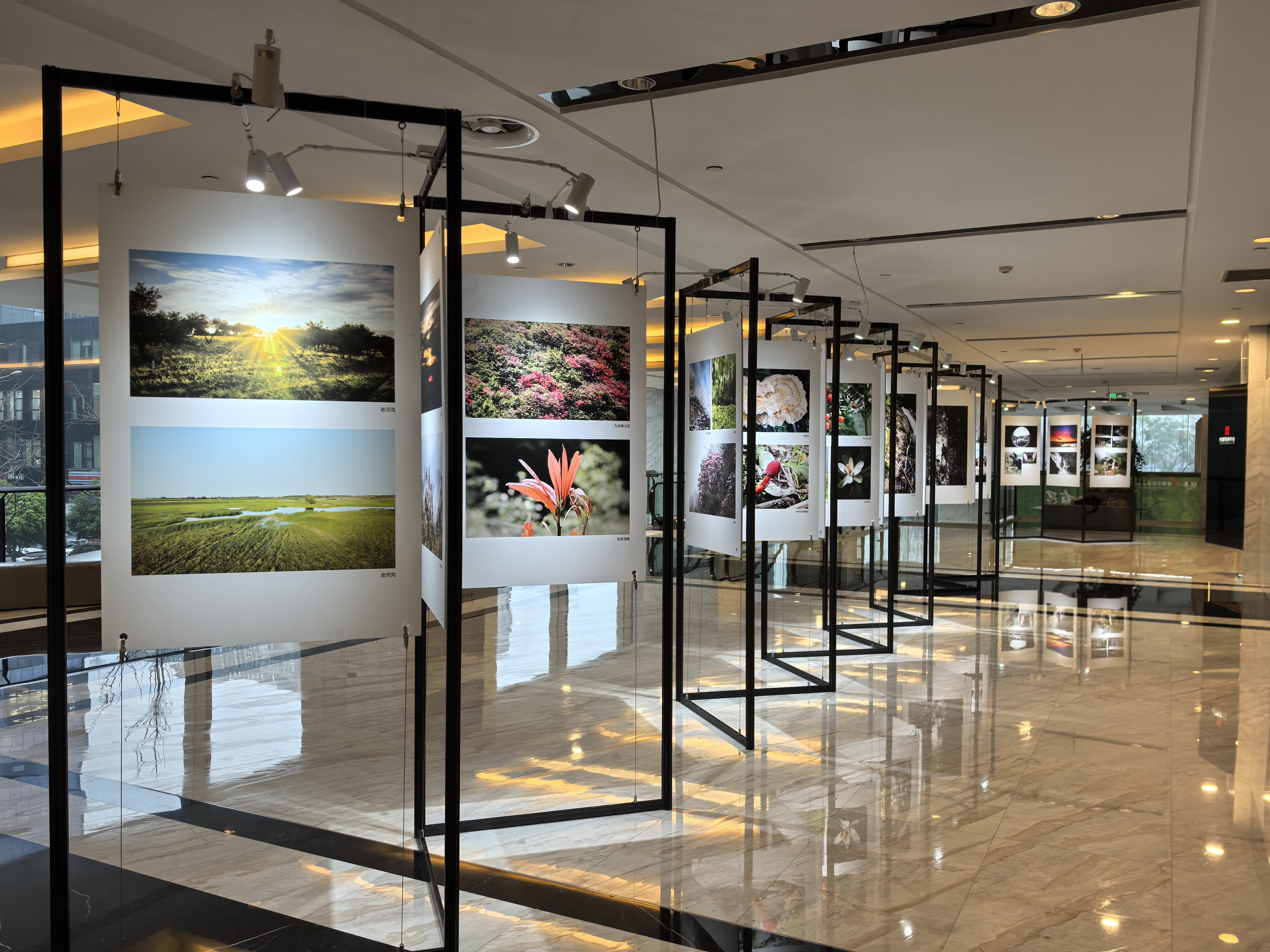 积跃文化助力银泰公益生态影像展圆满呈现